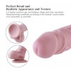 Premium Silicone Dildo, Realistic Penis With Suction Cup (Medium)